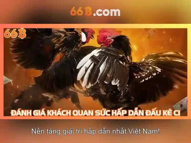 66b: khái niệm, nguồn gốc và ứng dụng
