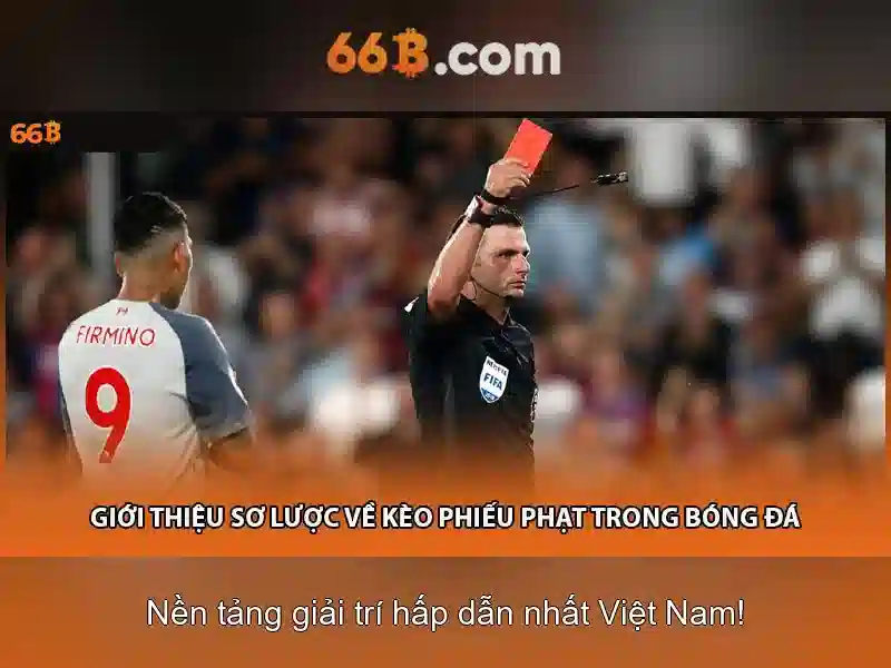 Về 66b: Một cái nhìn tổng quan