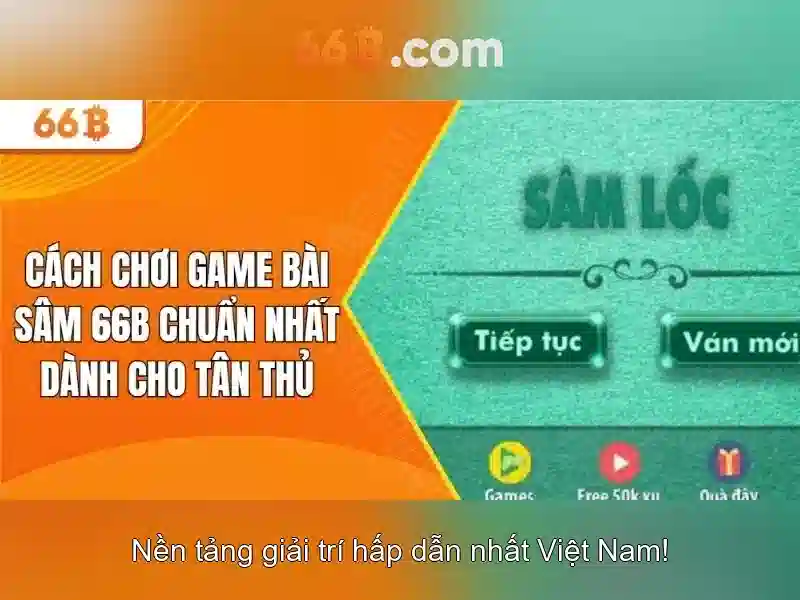 66b là gì? 66b là gì?