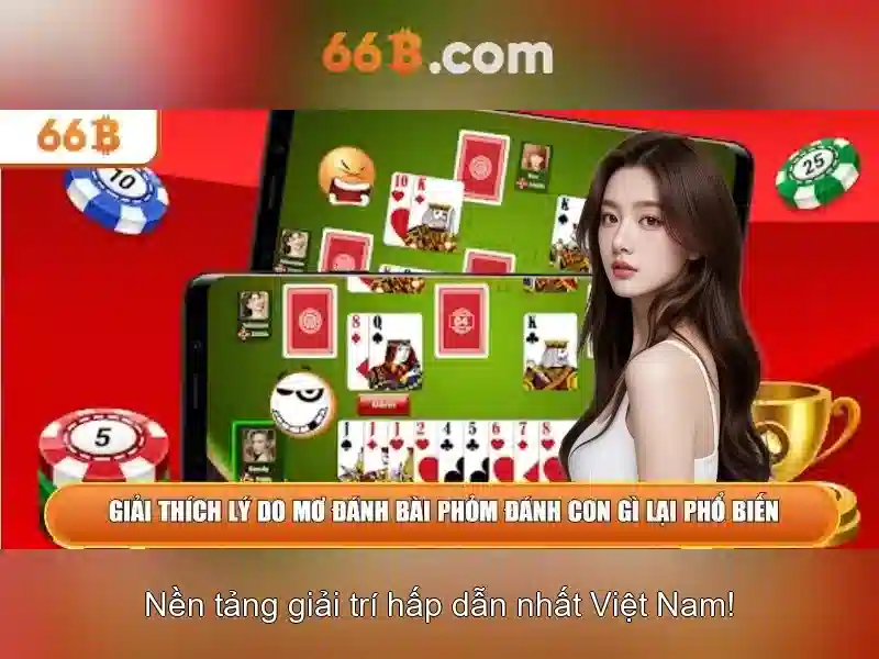 66b là gì? 66b là gì?