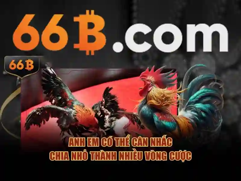 Ứng dụng của 66b trong các lĩnh vực