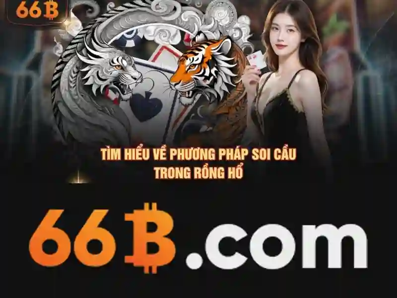Khái niệm và kích thước của 66b\n