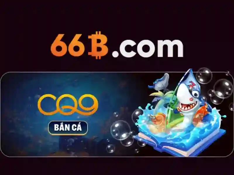 Nguồn gốc và tên gọi 66B