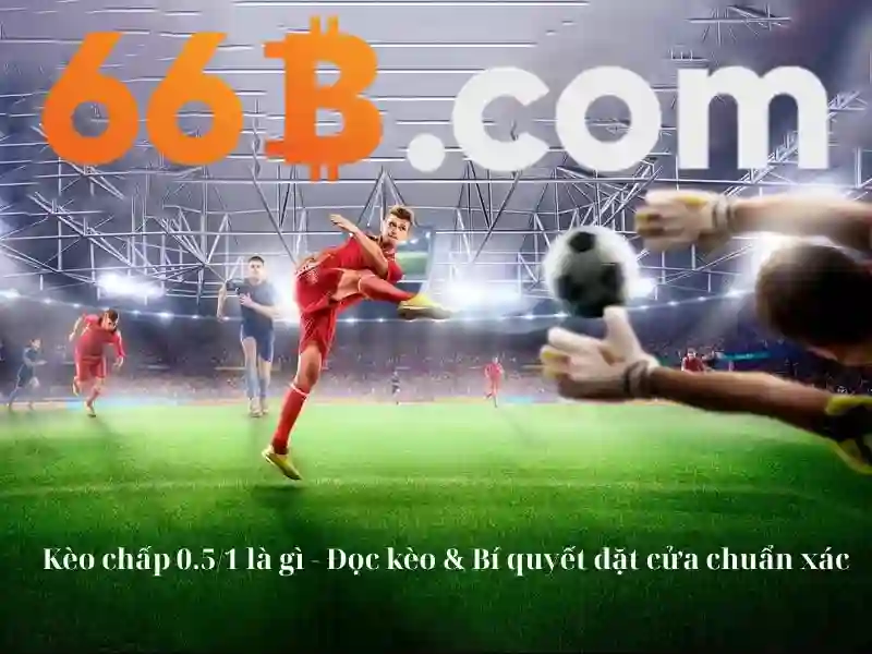 66b là gì và tiềm năng của nó