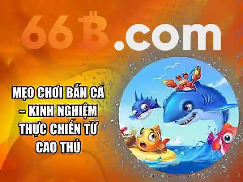 Khái niệm về 66b Khái niệm về 66b