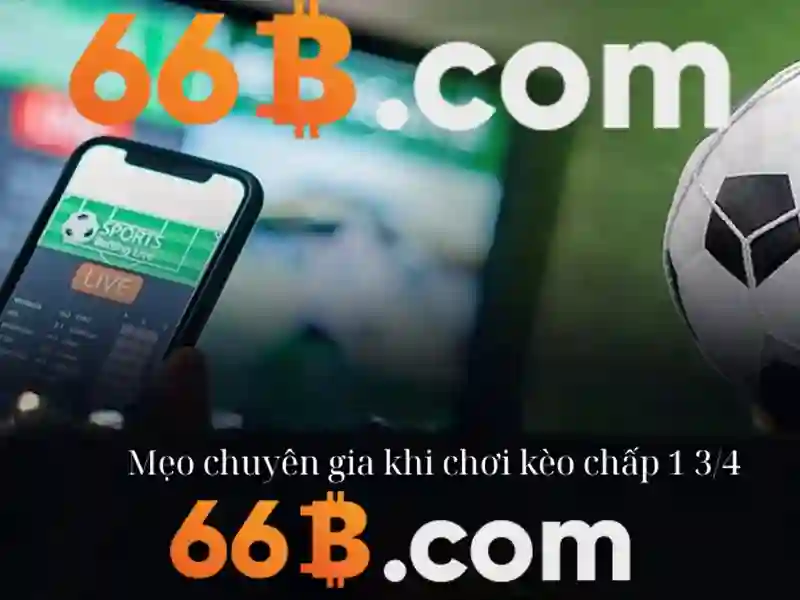 66b là gì và tại sao nó quan trọng