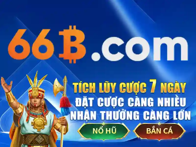 Sources shein 66b may: Đánh giá tổng quan và ứng dụng